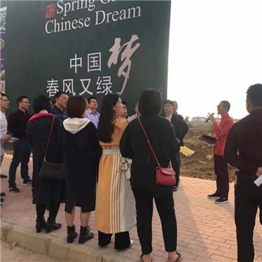 南宁市和惠州市哪个好玩