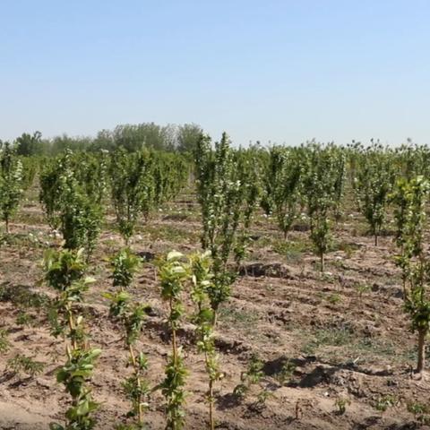 菏泽市牡丹区招商引资的长尾关键词有哪些