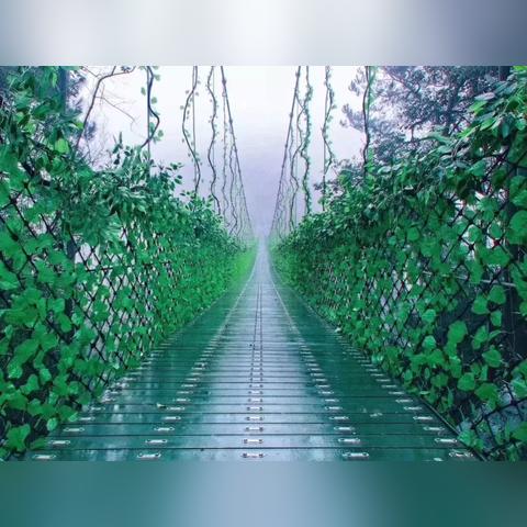 长沙雨降相关长尾关键词有哪些