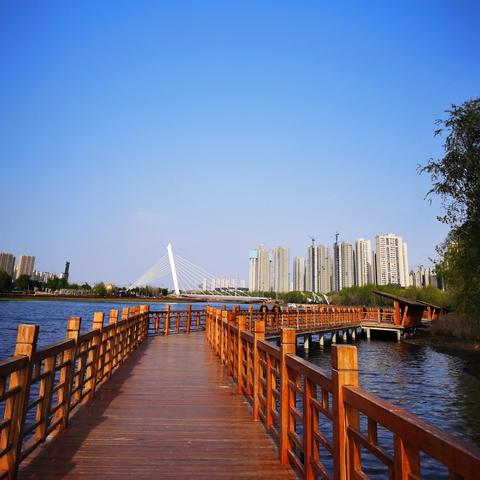 蒲河在沈阳市的哪个位置