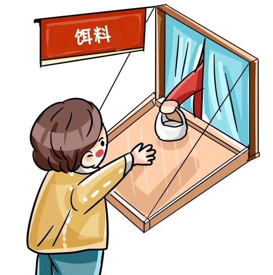 日入千元？警惕“杀鸟盘”骗局！