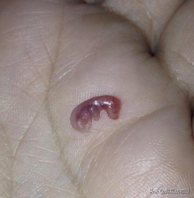 哺乳时要注意的8个问题