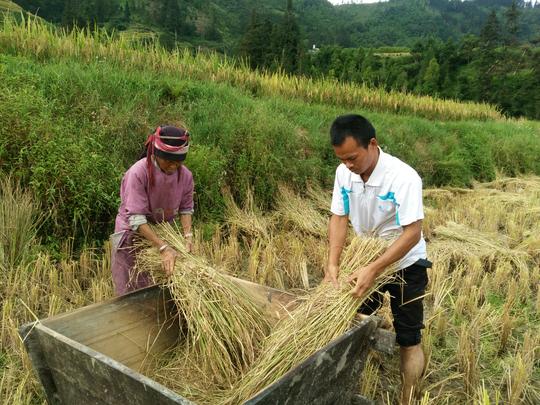 瑶族农民小哥回家创业，带领村民走致富路的伟大目标阔步前行