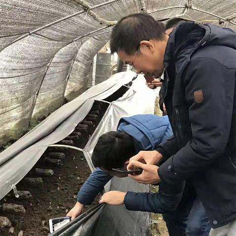 桂林市野生鱼饭店在哪里