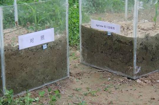 土壤改良在高标准农田建设耕地质量提升项目的重要性