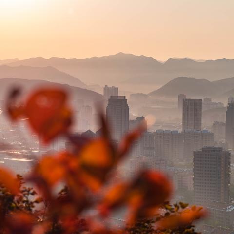 济南市跳舞队有哪些学校