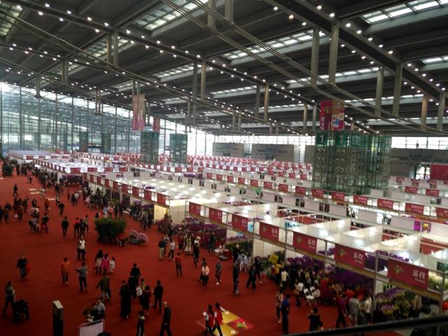 超过500万人离开深圳返乡过年，这两天的深圳啥样了？