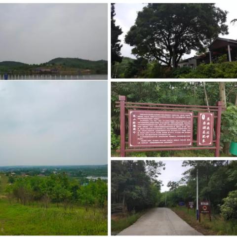 合肥西站怎么到野生动物园？