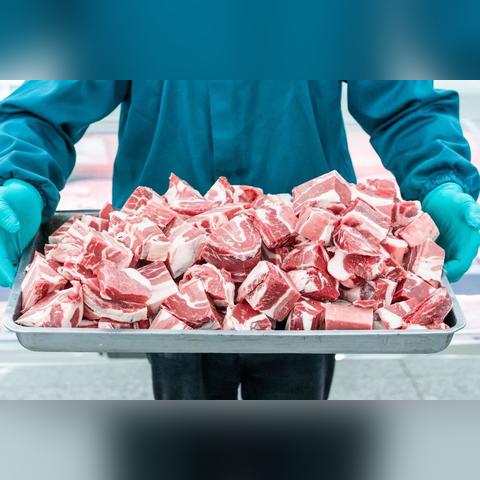 【天津的特色零食】相关长尾关键词有哪些