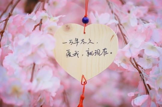 一厢情愿的做了十年爱情中的备胎，到底还该不该坚持下去？