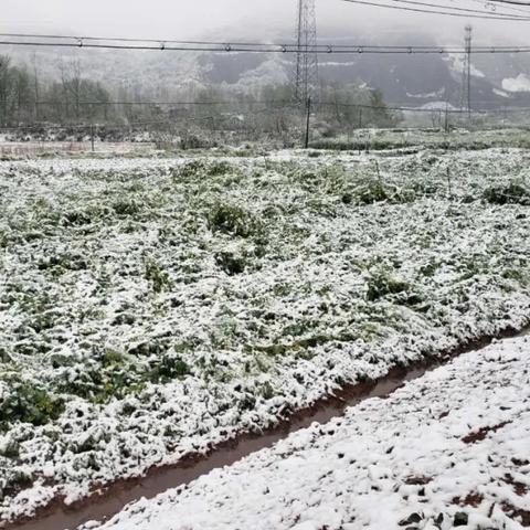 【合肥7月4日天气预报】2025年7月4日合肥天气情况
