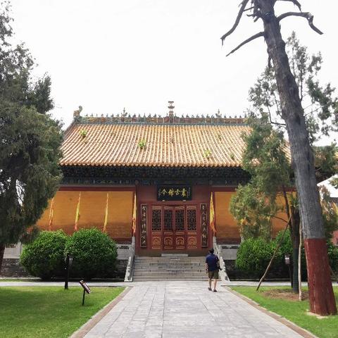 河南省周口市淮阳在哪里