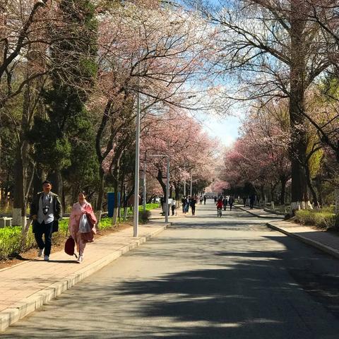 大连宜居房价的相关长尾关键词有哪些