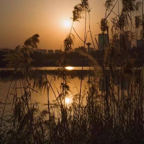 兰州太阳湿地公园图片的相关长尾关键词有哪些