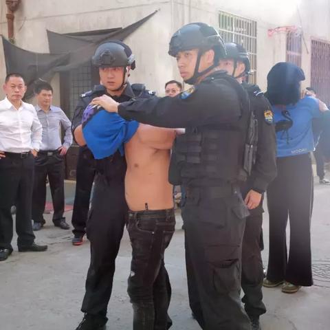 哈尔滨林辉犯罪的相关长尾关键词有哪些