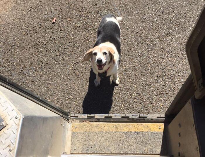 怎么才能把快递站点做好快递换货流程