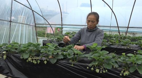 南丰：严格落实帮扶政策助力残疾人自主创业