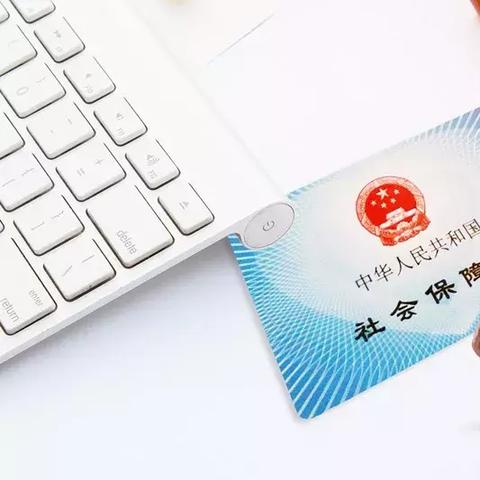 石家庄市什么时间种葱