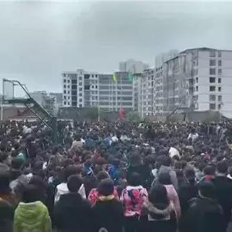衡阳振兴小学怎么样？