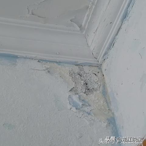 哈尔滨什么季节相关长尾关键词有哪些