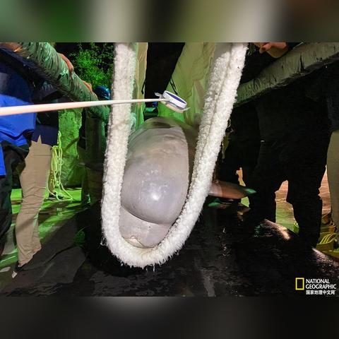 成都跨境运输价格多少