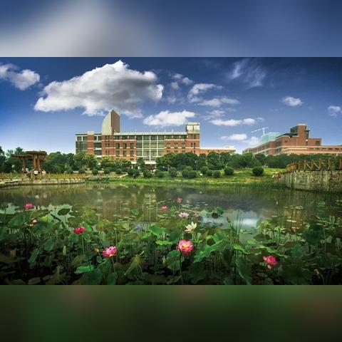 河南理工主要学科是什么