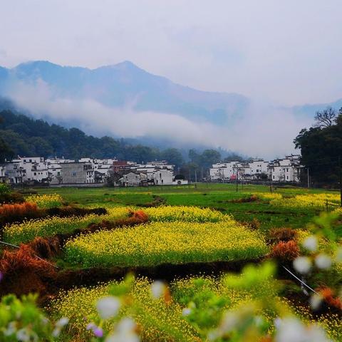 宁波嘉悦温泉酒店的长尾关键词有什么