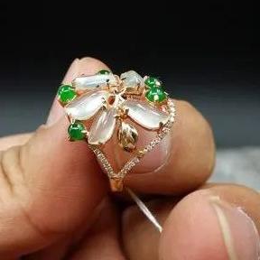 跨境运费美金多少