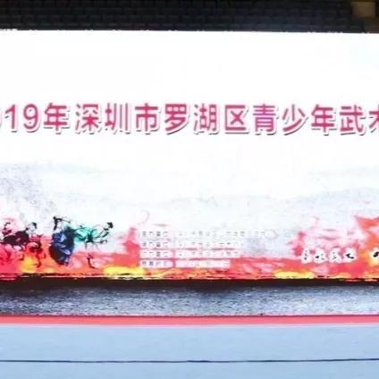 深圳市武术学校哪个好