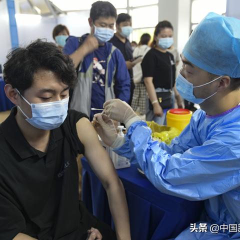 合肥给狗狗打疫苗多少钱一次？多久打一次？