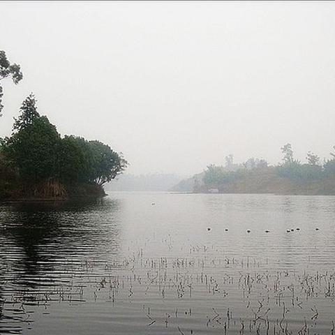 重庆大学建筑江西录取的长尾关键词有什么