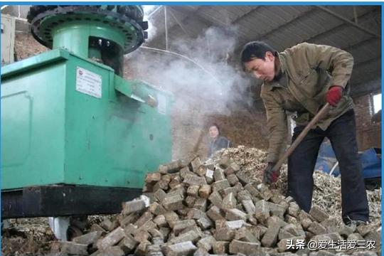 农业小项目，也能挣大钱，这些偏门小生意原来真的很挣钱！