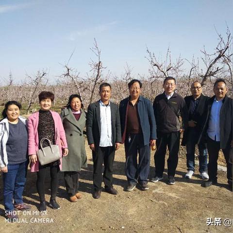 临沂市最大桃园在哪里建