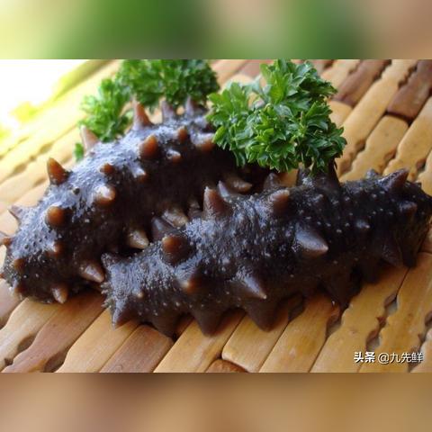 大连珍品堂海参的长尾关键词有什么