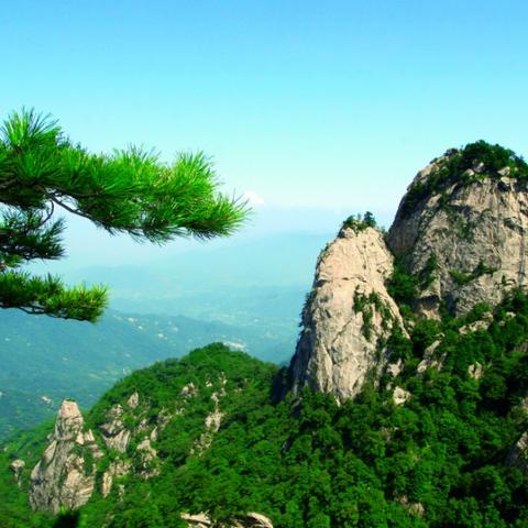 杭州市南阳镇什么来历
