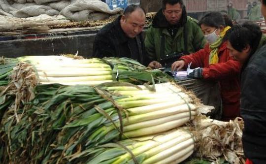 批发菜市场到底有多赚钱？疫情三月入百万，网友：我不信