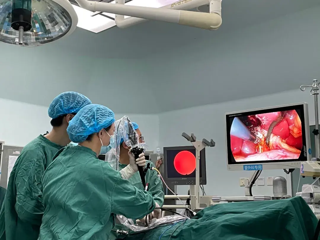 chatgpt在哪里上架了(付费专栏上架了吗)