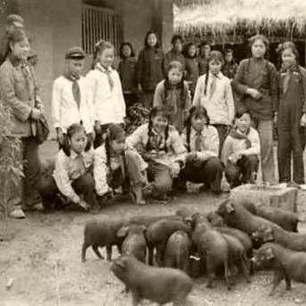 成都市新都学校有哪些初中