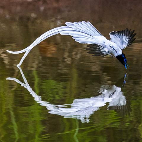 河南走丢男童的相关长尾关键词有哪些