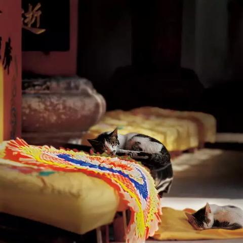济南市哪里有寺庙
