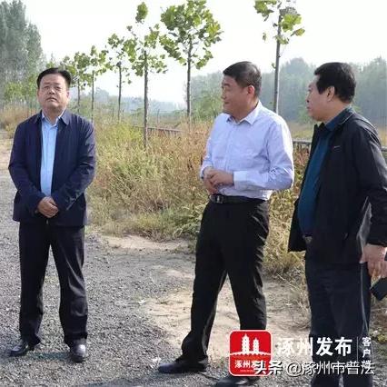 河北省保定市涿州王舟的长尾关键词有哪些