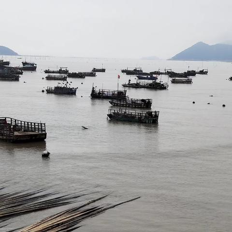 福建哪个区赶海最好