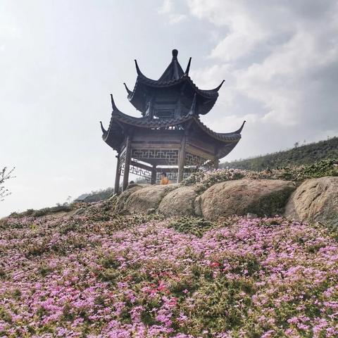 温州市入学入园条件的长尾关键词有什么