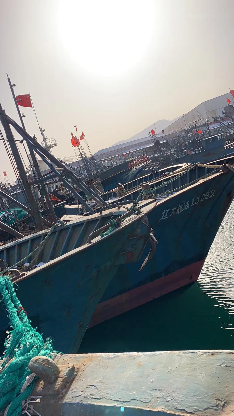 旅顺有什么美食特色（央视有哪些比较好的纪录片）