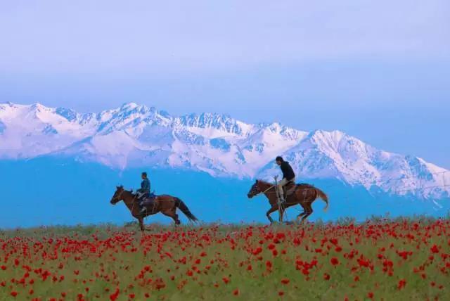 新疆疫情最新通知
 ,新疆疫情最新通知今天