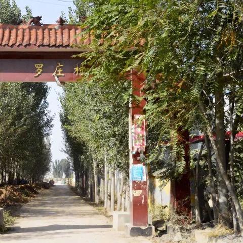 河北邯郸市哪里收油桃的长尾关键词有什么