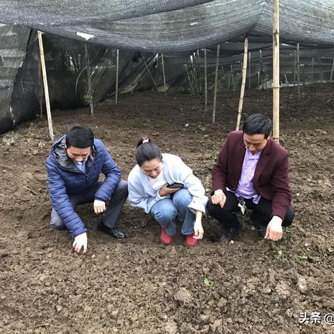 叙永天气预报正东天气的长尾关键词有哪些