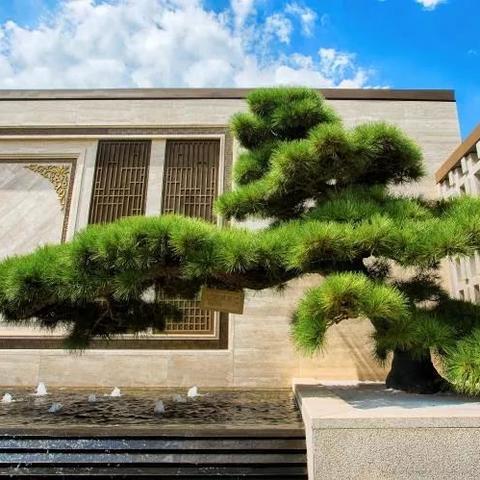 兰州大城小院的相关长尾关键词有哪些