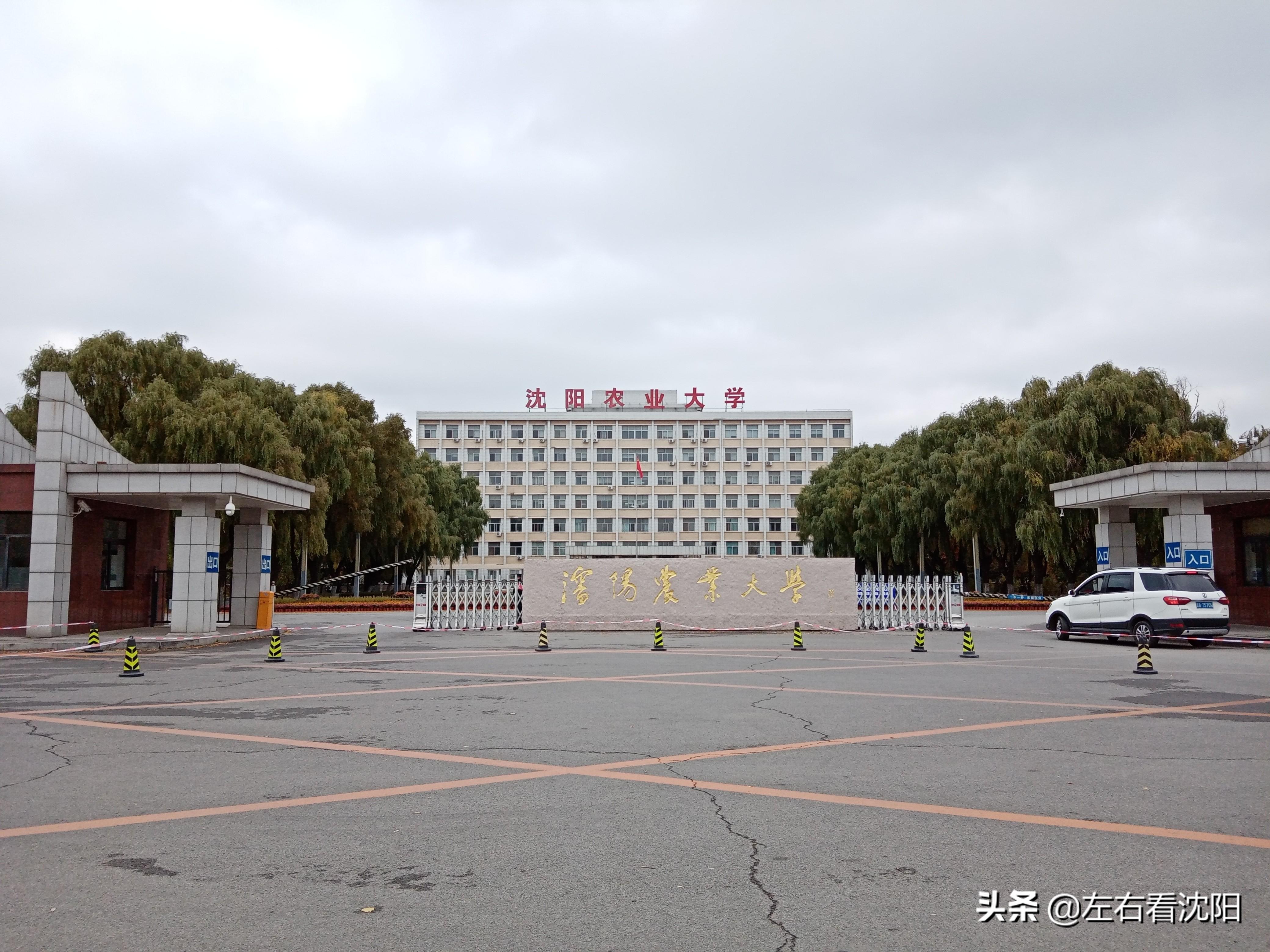沈陽哪里批發茶葉_沈陽哪里有批發茶葉的地方嗎