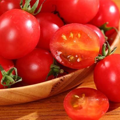 快番茄跨境电商平台 相关的长尾关键词是那些 